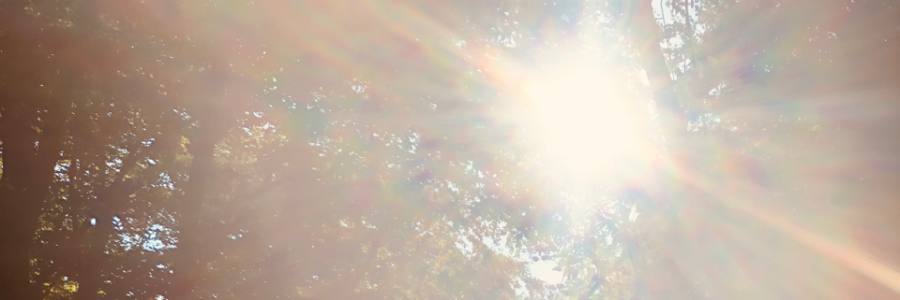 Cover image for post The New Girl, by nijahwrites