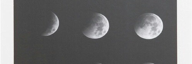 Cover image for post Day 478, by GentaBicaj