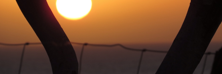 Cover image for post The Division Of Love and Fear - The Lovers, by KWPisME