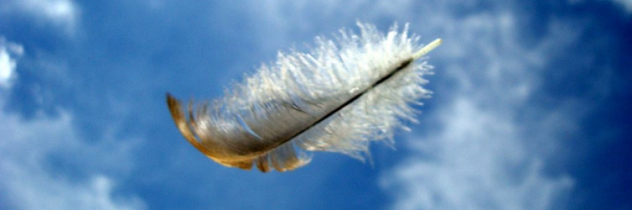 Cover image for post Feather In The Wind, by Danceinsilence