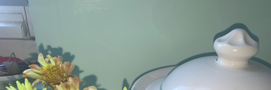 Cover image for post Little thoughts, big impacts, by Ranistorms