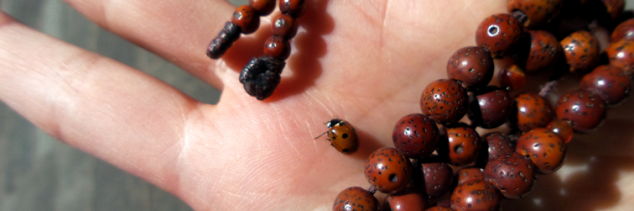 Cover image for post Wu Wei Zheng Dao 60, by PuJue