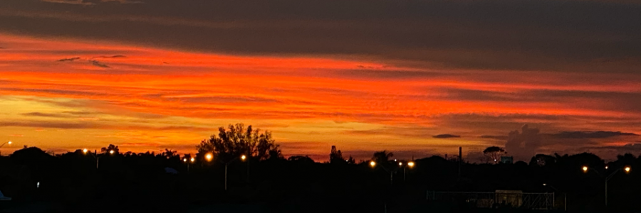 Cover image for post TES-NUS, by LucyMontana