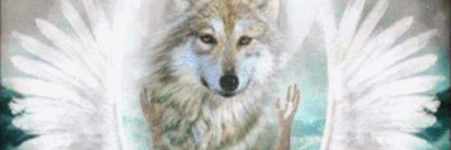 Cover image for post Spirit Wolfe, by Danceinsilence