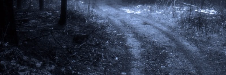 Cover image for post Shade, by pgjmwrites