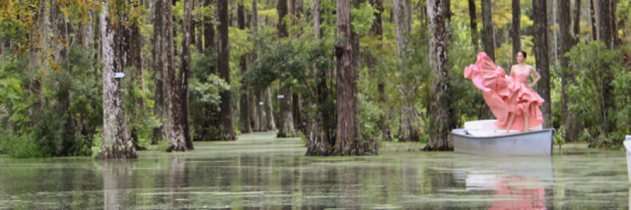 Cover image for post the photograph// prose challenge, by apricotjam