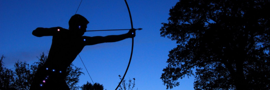 Cover image for post The Hunter, by MClarice