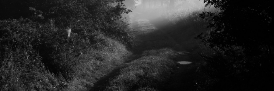 Cover image for post Forbidden Love, by Sanjana_S