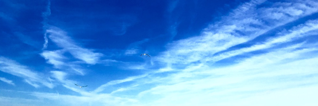 Cover image for post The Divine Expressed, by AgapeSophrosyne