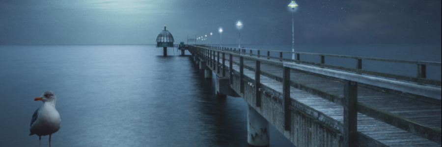 Cover image for post The Guru, by HBadt