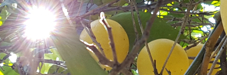 Cover image for post feeling Golden Good, by wordSwork