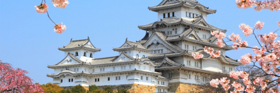 Cover image for post Beauty of The Beast, by Danceinsilence