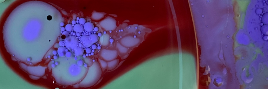 Cover image for post Life full of holes, by photetry