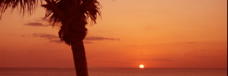 Cover image for post Tale of Life, by R_Gholami