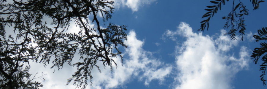 Cover image for post Only Memories, by LexiCon