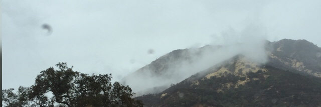 Cover image for post Constantly Running., by AyeMich