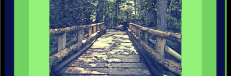 Cover image for post A Follower, by Greywolf