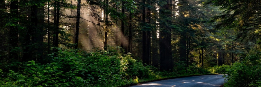 Cover image for post Are you ready?, by JaredHammer