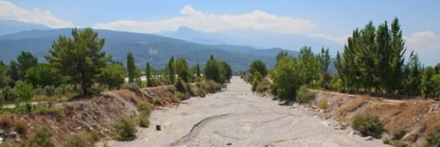 Cover image for post Forever, For Now, by Jaguar