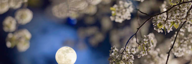 Cover image for post The Secret, by DarkMinx