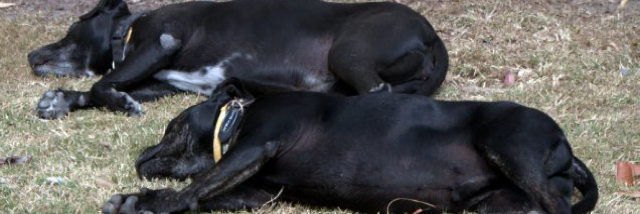 Cover image for post Name Omitted, by Tommy