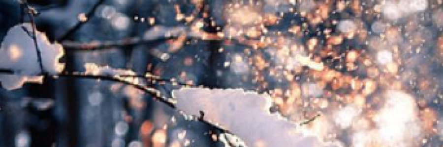 Cover image for post Peace, by TeaRise