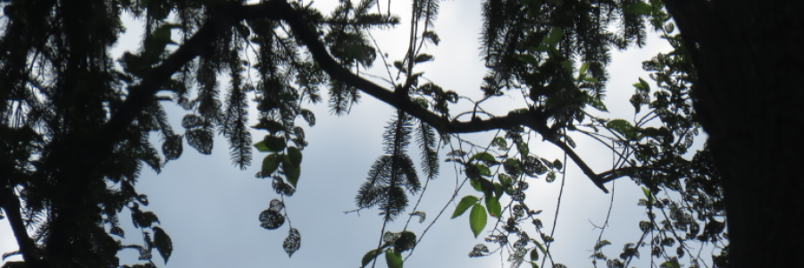 Cover image for post Strength to Move On, by LexiCon