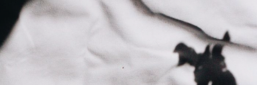 Cover image for post you’re gone, by TeaRise