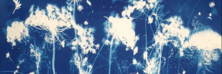 Cover image for post luminous flutters of the core, by anarosewood