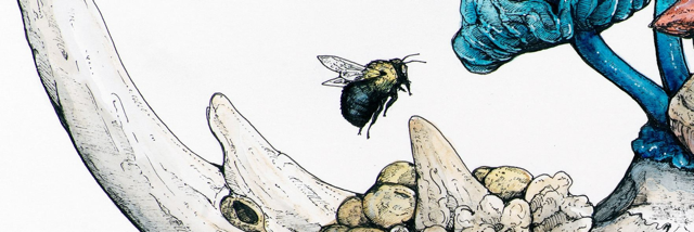 Cover image for post Coffee, by EliseWhitehorn