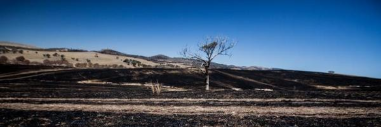 Cover image for post Lifeless, by Penpusher