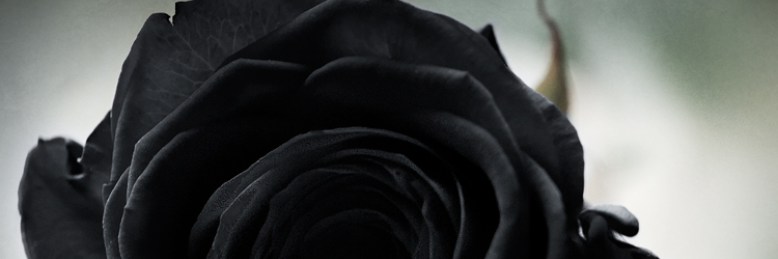 Cover image for post Black Roses in a White World, by LeahDeAnge