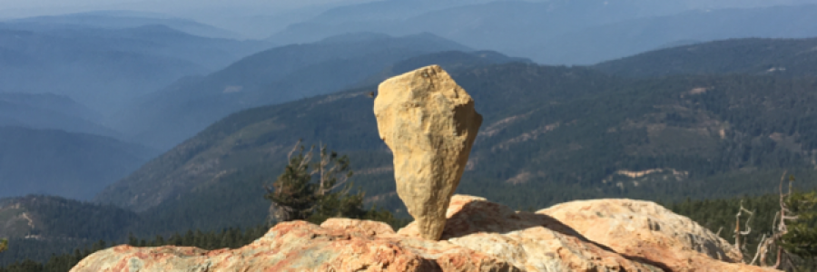 Cover image for post Falling in Fall, by Etch