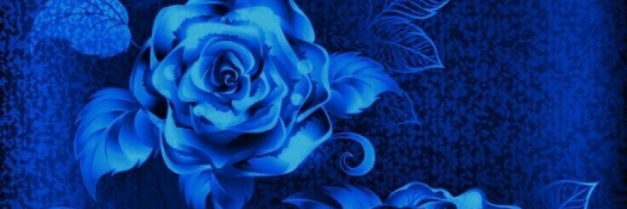 Cover image for post Stranded, by cruzinforjosh