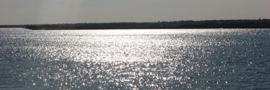 Cover image for post If Ever, by Danceinsilence