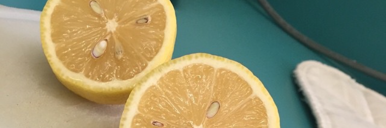 Cover image for post Untitled, by greermel