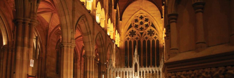 Cover image for post Sanctuary, by tate