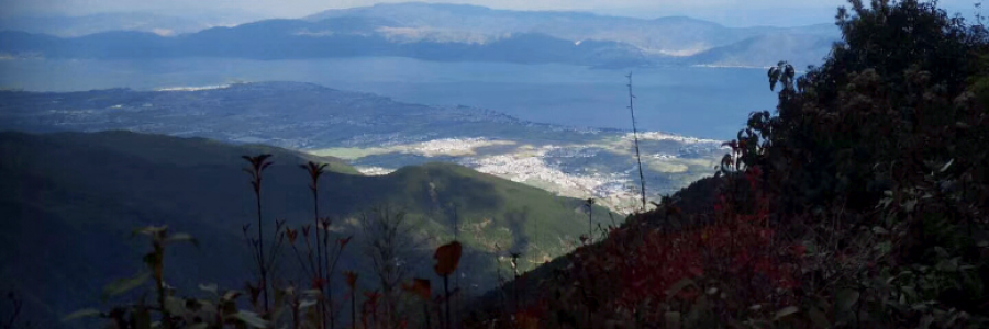 Cover image for post Wu Wei Zheng Dao 63, by PuJue