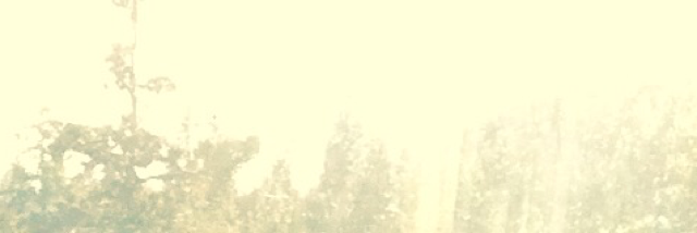 Cover image for post War will come to an end as nature lives on, by StellarMoon