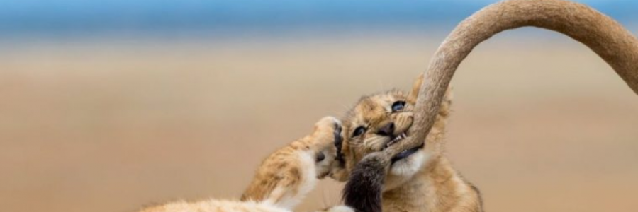 Cover image for post Apologies, by Taki