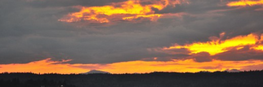 Cover image for post Sunset in October, by Samina