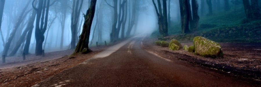 Cover image for post Finding Home, by Danceinsilence