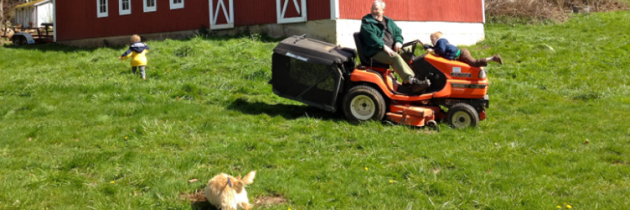 Cover image for post Country Recollections, by Danceinsilence