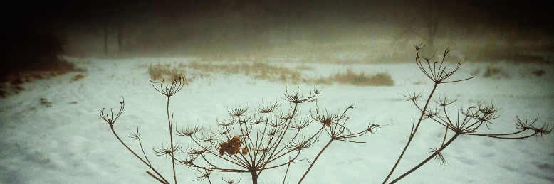 Cover image for post This silence, by MissCunegund