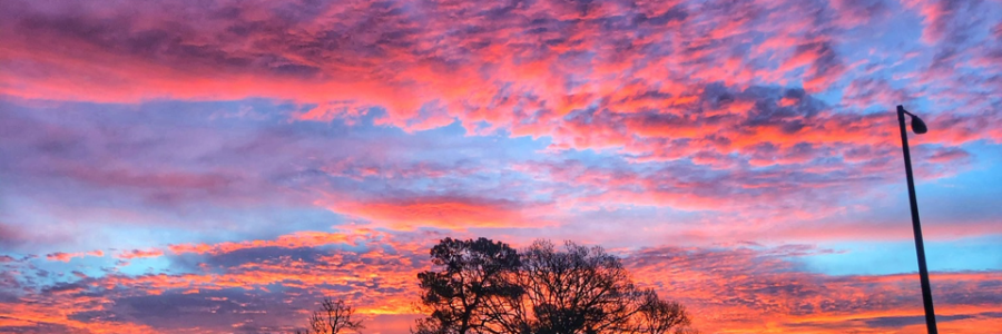 Cover image for post Ouch, by SmoofSmokes