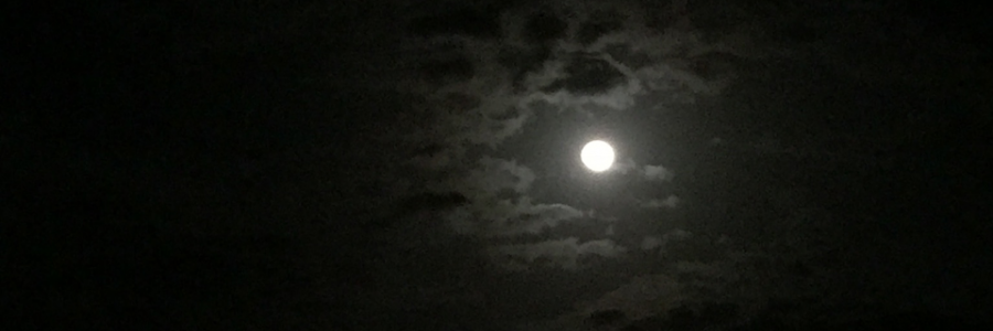 Cover image for post Lunar Thoughts, by SmoofSmokes