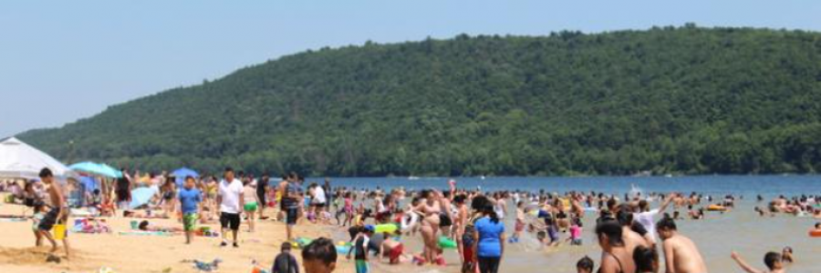 Cover image for post Foreword to Survival, by Danceinsilence