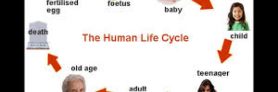 Cover image for post When I, by Danceinsilence