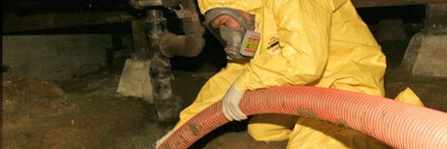 Cover image for post Toxic Nourishment, by AgapeSophrosyne