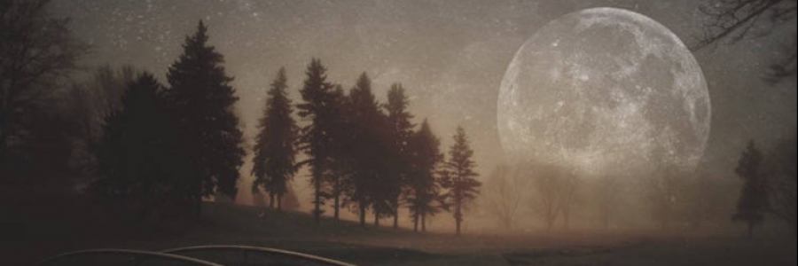 Cover image for post lost familiar, found in us, by anarosewood